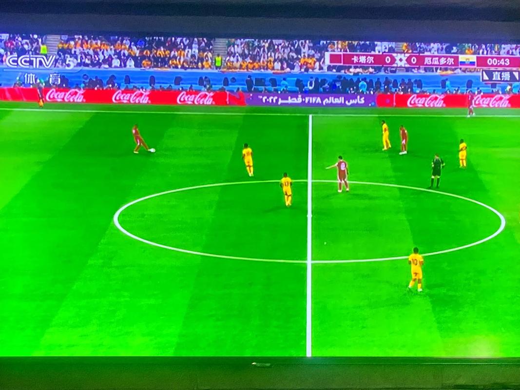 足球世界杯直播的相关图片